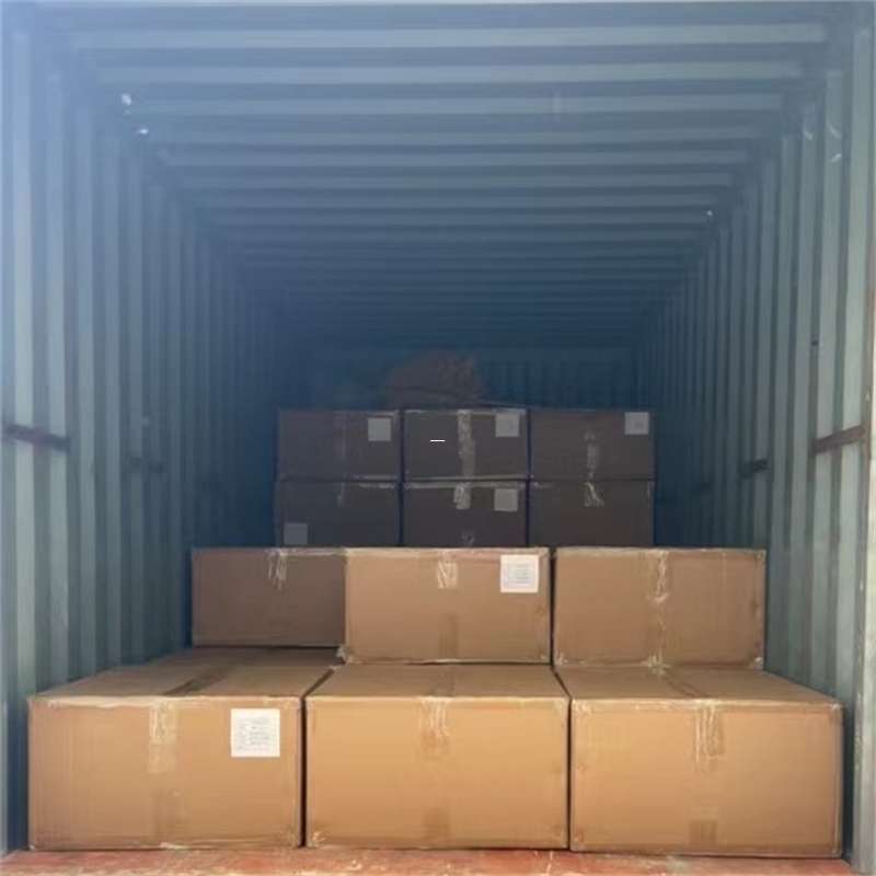 津南区探秘新抚区多元物流运输世界