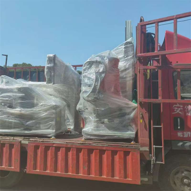 津南区洛扎县：物流专线的高效货运之旅