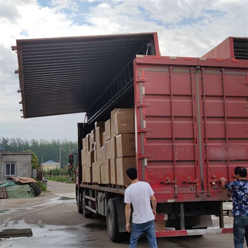 津南区扎囊县：物流专线的高效货运之旅